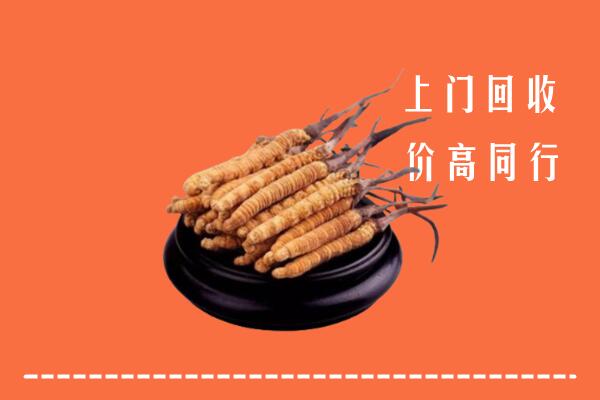 高价求购：铁岭回收散虫草