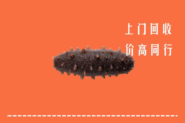 铁岭回收海参